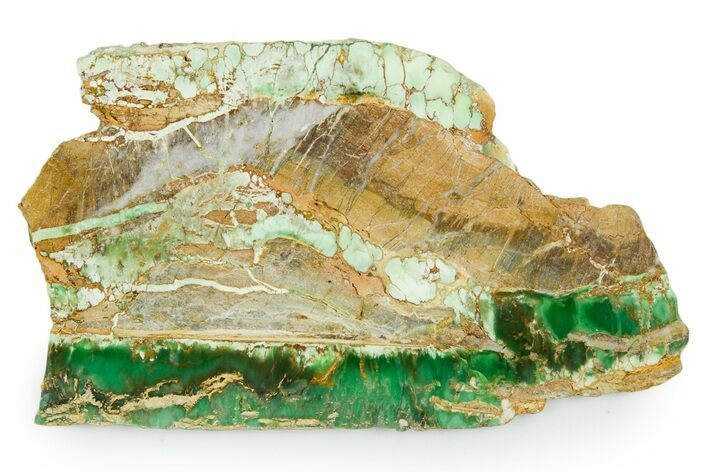 Polished Variscite Slab - Australia #353716